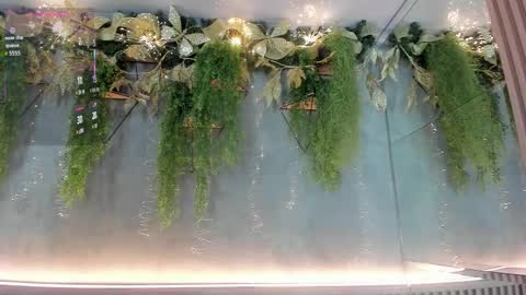 lana_lann online show from 12-03-25, 12:36