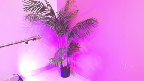 LANA online show from 04-03-26, 04:10