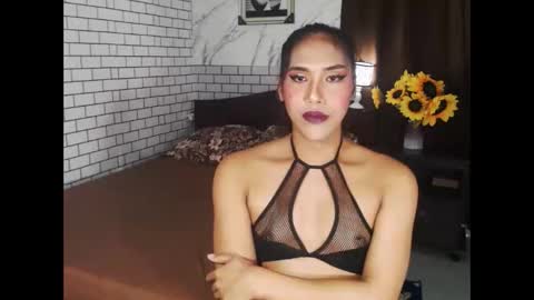 Cha online show from 09-23-25, 07:06