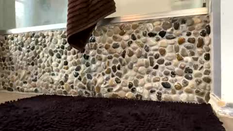 latinlover199518 online show from 04-16-26, 01:23