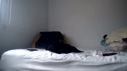 Snapshot of latinndexter chatting on 02-24-25, 08:58 DEXTER online show from 02-24-25, 08:58