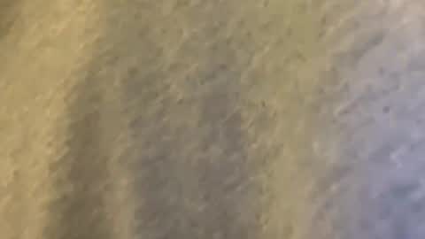 Mexakin online show from 03-09-26, 01:42