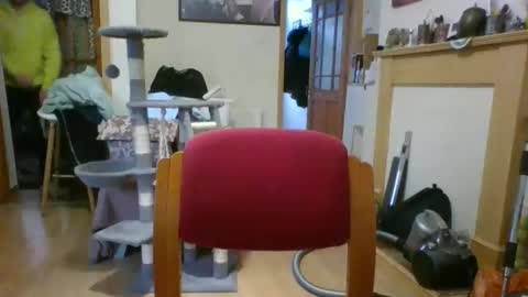 lauratedomm online show from 03-08-26, 04:00