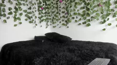 laurensmith9 online show from 03-27-26, 02:17