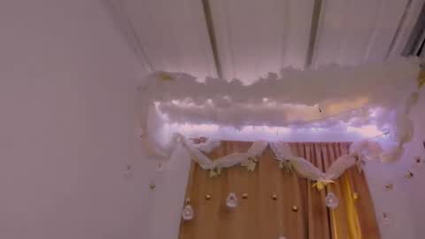 Snapshot of lauu_g chatting on 12-29-24, 03:11 Lauu G online show from 12-29-24, 03:11