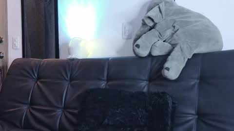    online show from 03-14-26, 01:23