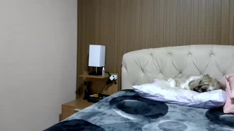 Snapshot of laylabrasil chatting on 07-03-26, 09:10 kelly online show from 07-03-26, 09:10
