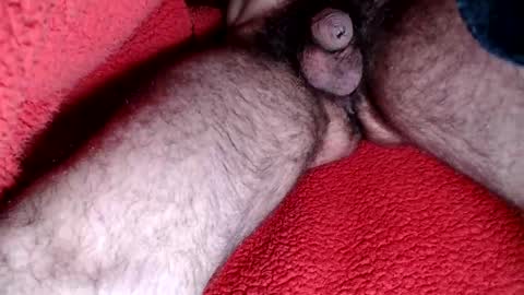 leccameloadesso2 online show from 02-15-25, 09:15