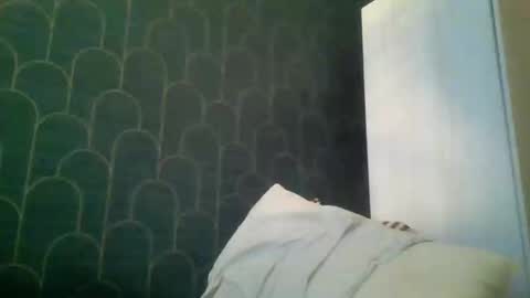 Snapshot of leeuwarder12 chatting on 11-20-25, 07:35 leeuwarder12 online show from 11-20-25, 07:35