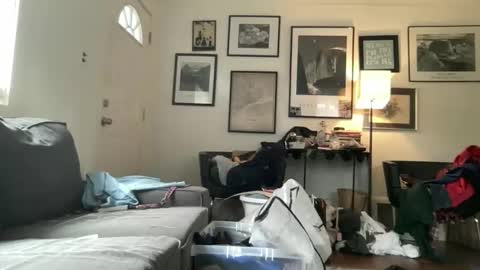 Snapshot of legallybrun91 chatting on 10-22-25, 06:51 legallybrun91 online show from 10-22-25, 06:51