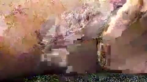 legofactory online show from 01-27-25, 04:52