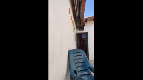 leo_latino1 online show from 03-09-26, 06:56