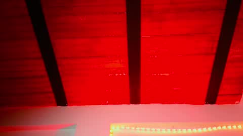 Lenardo jaramillo online show from 12-12-24, 10:24