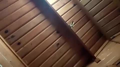 leskator9 online show from 11-02-25, 05:10