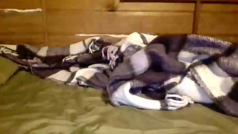 leskator9 online show from 11-07-25, 09:09