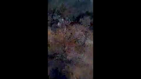 Snapshot of lestercameran80 chatting on 06-09-26, 10:16 lestercameran80 online show from 06-09-26, 10:16