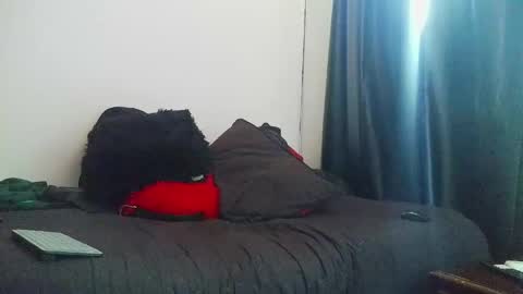 Torres online show from 04-27-26, 12:36