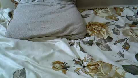 letshaveitbby online show from 11-15-25, 07:16