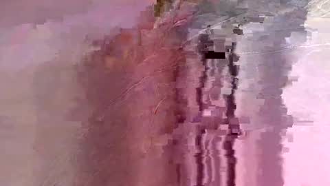 letslookateach online show from 02-26-26, 08:46