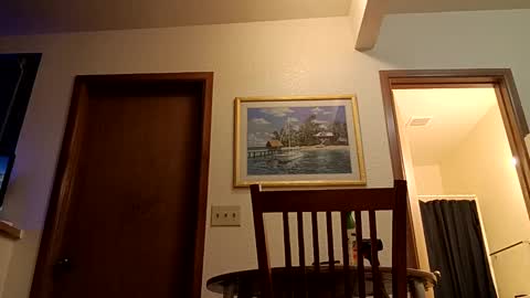 letsplay361 online show from 03-04-25, 02:27