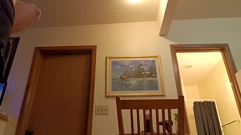 letsplay361 online show from 03-08-25, 01:47