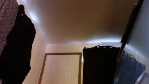 letsplay361 online show from 05-03-26, 12:33