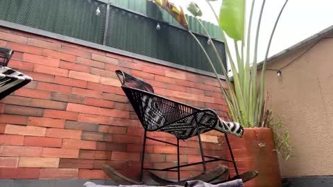 follow me  here you find me online show from 03-21-26, 04:10