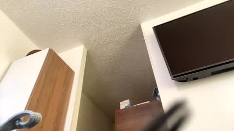 lety hot online show from 12-04-24, 03:54