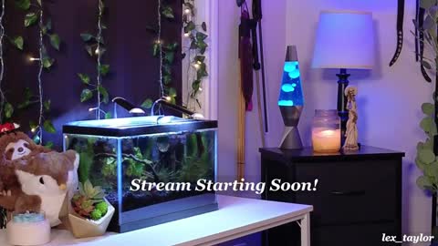 Snapshot of lex_taylor chatting on 01-08-25, 03:19 Lex online show from 01-08-25, 03:19