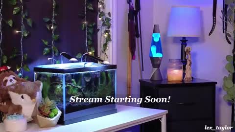 Snapshot of lex_taylor chatting on 02-18-25, 04:37 Lex online show from 02-18-25, 04:37