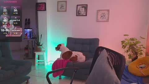 Snapshot of lexie_babe chatting on 12-16-24, 11:33 Lexie Thompson 8pm 0000am -5 online show from 12-16-24, 11:33