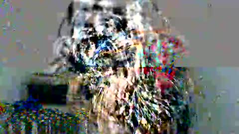 lolita online show from 12-17-24, 05:04