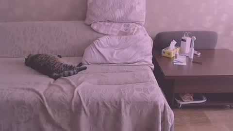 miss Lia  colection for travel online show from 08-06-26, 12:29