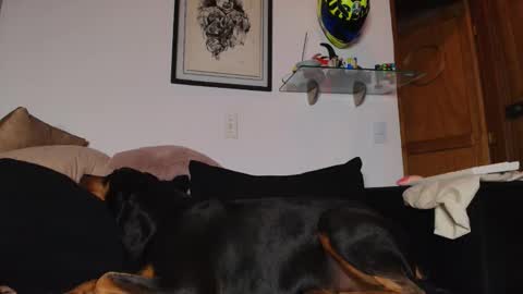 Lian Oconner online show from 05-05-26, 03:47