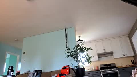 lickurpussygood40 online show from 10-24-25, 05:31