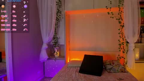         online show from 02-03-26, 11:48