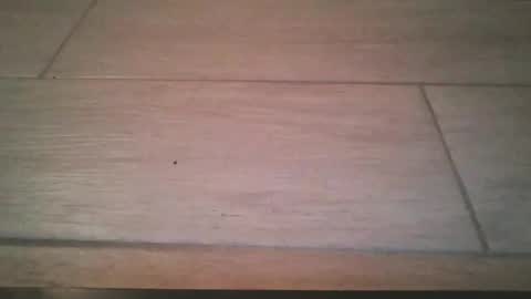 Snapshot of lildicksissy chatting on 11-22-25, 11:59 lildicksissy online show from 11-22-25, 11:59