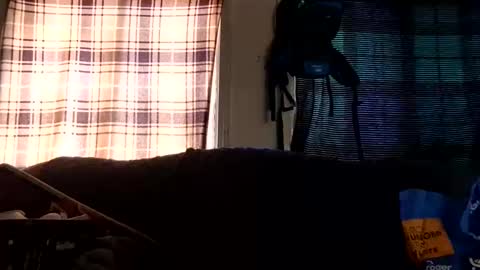 lildurke65 online show from 02-10-26, 09:19