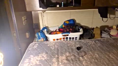 lildurke6556 online show from 07-14-26, 03:44