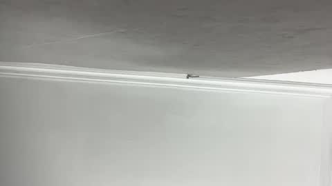 Lilith  online show from 11-11-25, 03:23