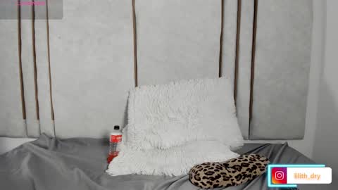 Snapshot of lilithdry chatting on 03-27-26, 11:48 Lilith online show from 03-27-26, 11:48