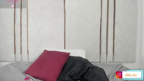 Snapshot of lilithdry chatting on 04-28-26, 02:27 Lilith online show from 04-28-26, 02:27