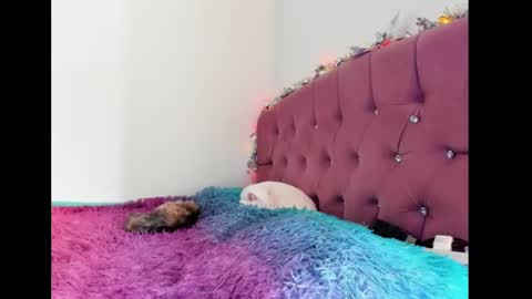 Snapshot of lilithintheeden chatting on 02-08-25, 08:32 Lilith online show from 02-08-25, 08:32