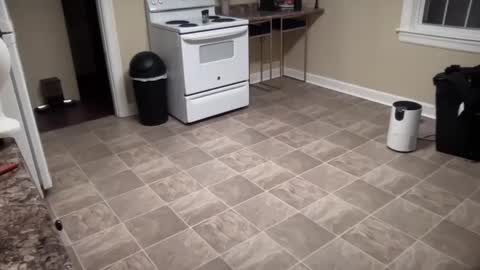 lilly_adams88 online show from 02-21-25, 01:00