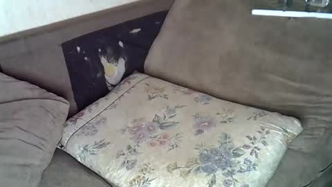 lillybae1811 online show from 06-10-26, 08:02