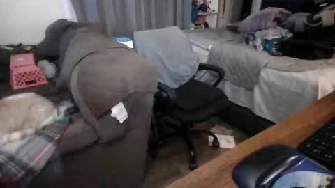 lilpackage69 online show from 01-29-25, 03:44