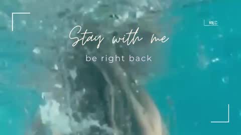 Snapshot of lily_foster_ chatting on 09-30-25, 07:02 Lily online show from 09-30-25, 07:02