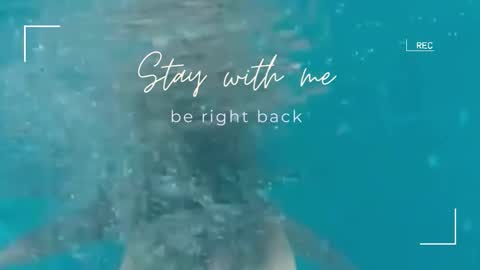 Snapshot of lily_foster_ chatting on 11-02-25, 06:27 Lily online show from 11-02-25, 06:27