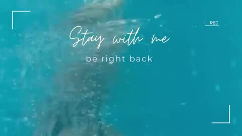 Snapshot of lily_foster_ chatting on 11-10-25, 06:45 Lily online show from 11-10-25, 06:45