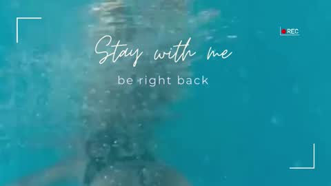 Snapshot of lily_foster_ chatting on 11-19-25, 12:27 Lily online show from 11-19-25, 12:27